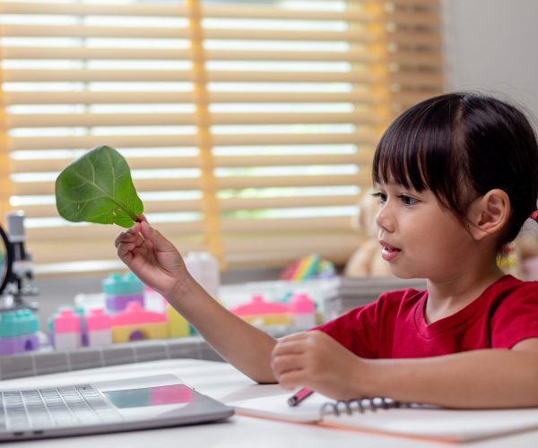 learning-time-interested-little-kid-schoolgirl-2022-11-03-04-16-19-utc-scaled learning-time-interested-little-kid-schoolgirl-2022-11-03-04-16-19-utc-scaled